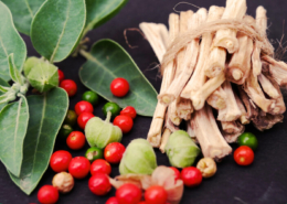 Ashwagandha leaves, roots, and berries arranged on a dark surface with a bottle of Ashwagandha gummy supplement placed in the corner.